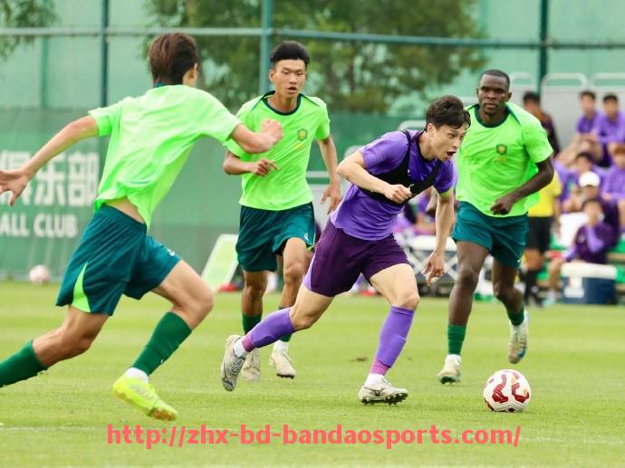 半岛体育-法甲防守统计图表展示及球队防守结构对比