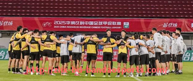 半岛体育-角球能力最强的意甲球队数据分析