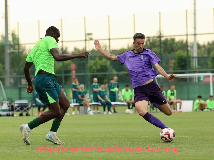 半岛体育-法甲外援职业前景分析及未来发展规划建议